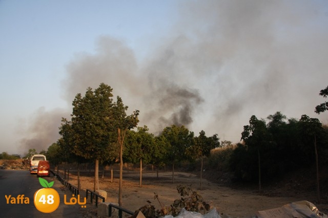 fireina7rashyaffa505 (15).JPG